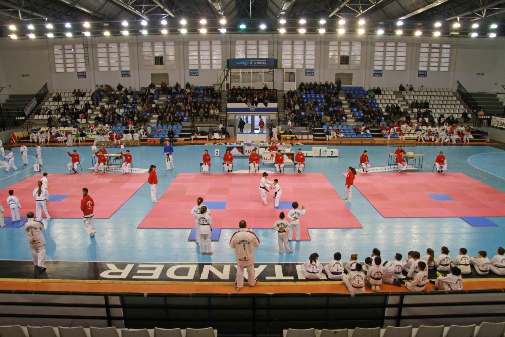 Taekwondo Dic 2016 (162).jpg